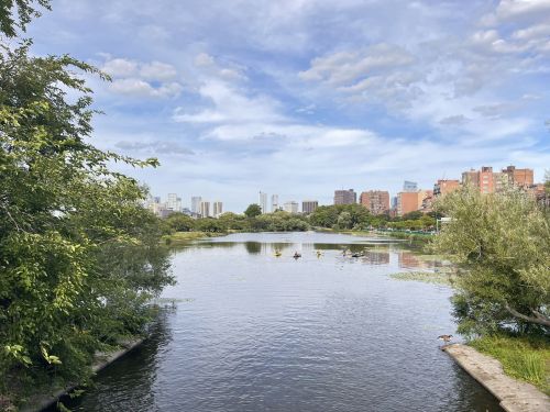 A serene river scene with lush greenery, city skyline, and people kayaking under a partly cloudy sky.