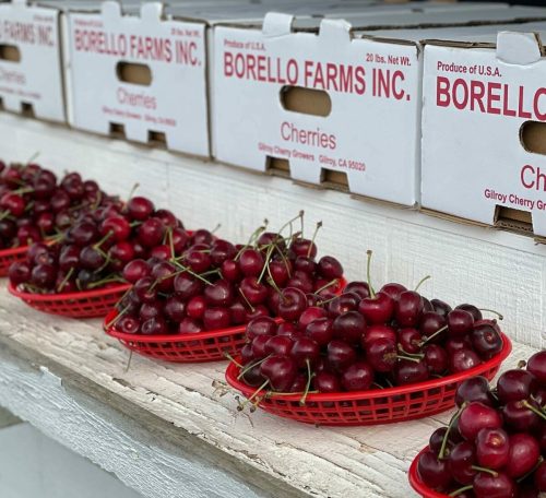 Fresh cherries in red baskets displayed on a table, with boxes labeled "Borello Farms Inc." in the background.