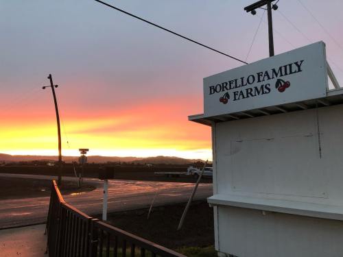 Sign for Borello Family Farms with a vibrant sunset in the background, casting colorful hues across the sky.