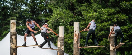 Four competitors balance on logs while chopping wood at a lumberjack competition, surrounded by trees and a tent.