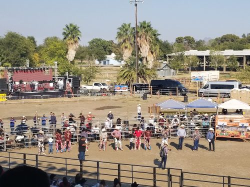A lively outdoor event with people in colorful outfits participating in a rodeo, surrounded by palm trees and tents.