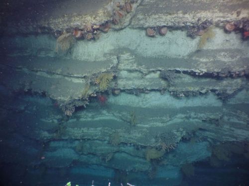 Underwater view of a submerged structure covered in marine life and algae, with textured surfaces and shadows.