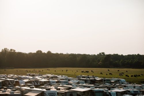 A field filled with RVs and grazing cows under a hazy sky, surrounded by trees in the background.
