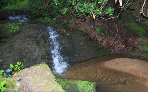 A serene scene of a small waterfall cascading over rocks into a calm pool, surrounded by lush greenery.