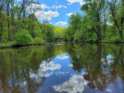 A serene river scene with lush green trees and a blue sky reflected in the calm water, featuring fluffy white clouds.