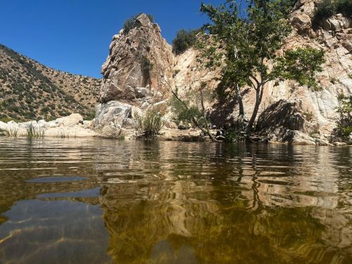 A serene landscape featuring a rocky shore, clear water, and a tree reflecting in the calm surface under a blue sky.