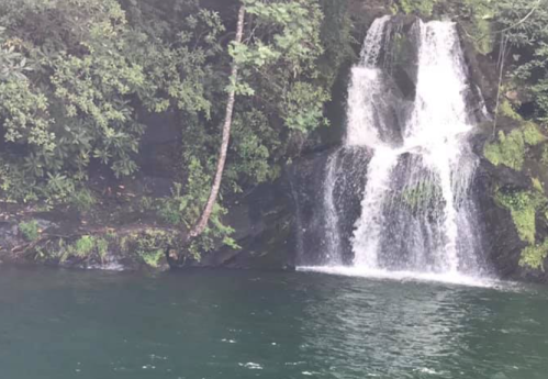 A serene waterfall cascading into a calm, green pool surrounded by lush foliage.