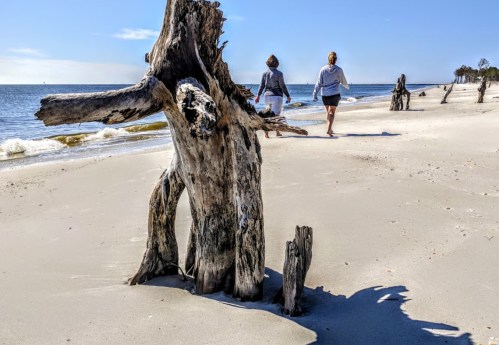Two people walk along a sandy beach, with weathered driftwood in the foreground and calm waves in the background.