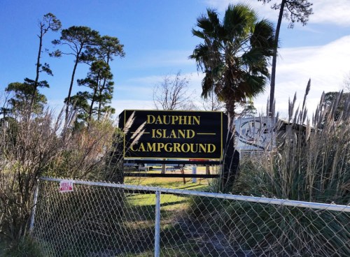 Sign for Dauphin Island Campground surrounded by tall grass and palm trees under a clear blue sky.