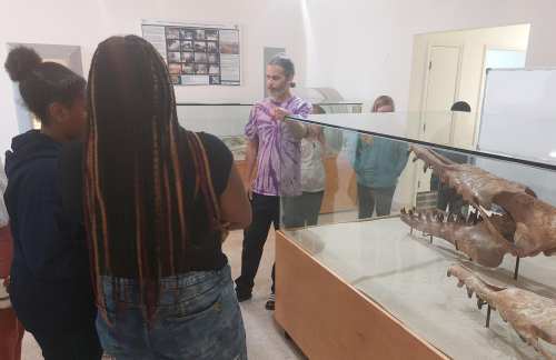 A group of people listens to a guide near a display case with large fossilized skulls in a museum setting.