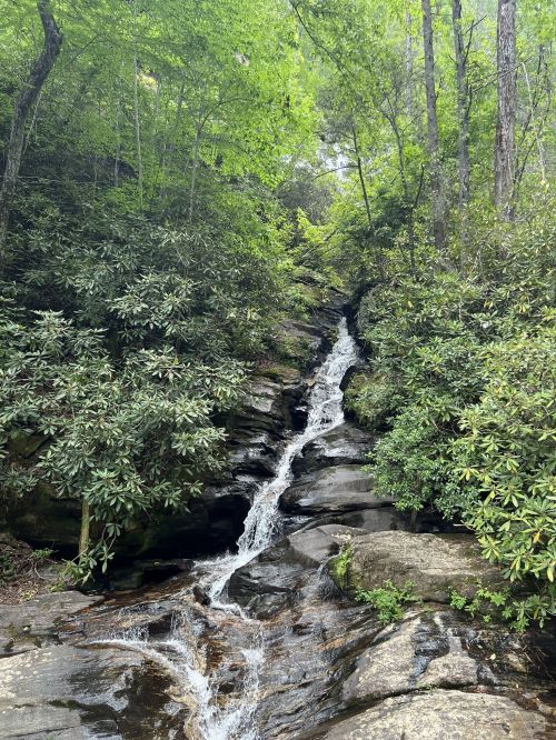 A serene waterfall cascading over rocks, surrounded by lush green foliage and trees.