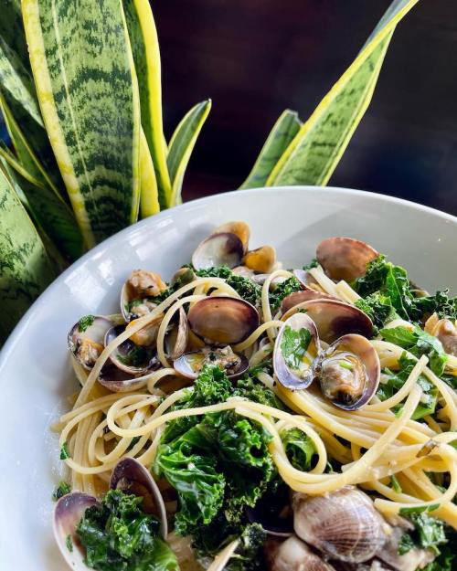 A bowl of spaghetti with clams and kale, garnished with fresh herbs, next to a green plant.