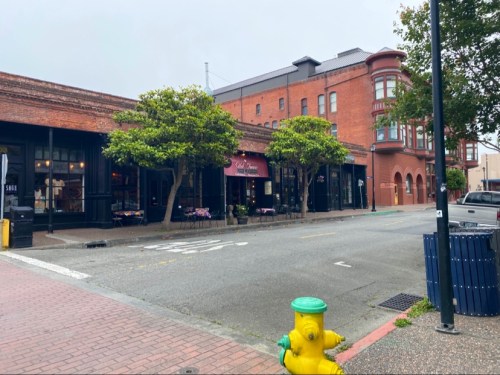 A street view of a brick building with shops, trees, and a yellow fire hydrant in the foreground.