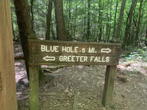 Wooden signpost in a forest indicating directions to Blue Hole (0.5 miles) and Greeter Falls.