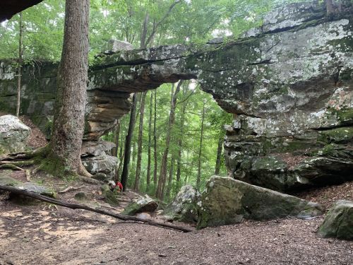 A natural stone arch surrounded by lush green trees and rocky terrain in a forested area.