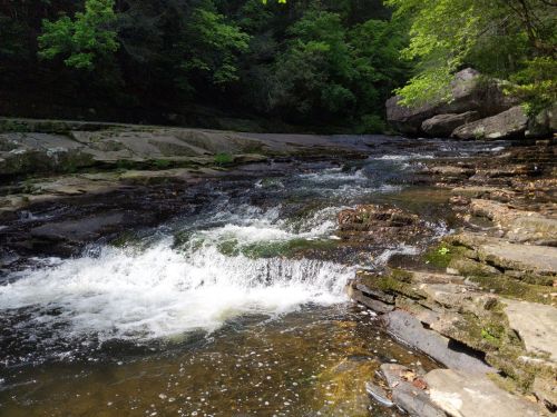 A serene river flows over rocky terrain, surrounded by lush green trees and a peaceful natural landscape.