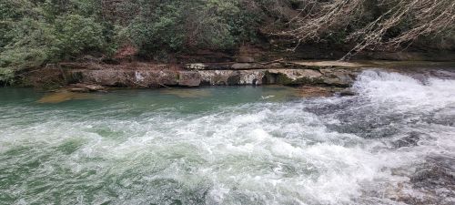 A flowing river with clear water and rocky banks, surrounded by lush greenery and trees.