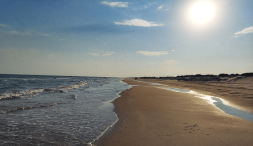 A serene beach scene with gentle waves, a sandy shore, and a bright sun in a clear blue sky.