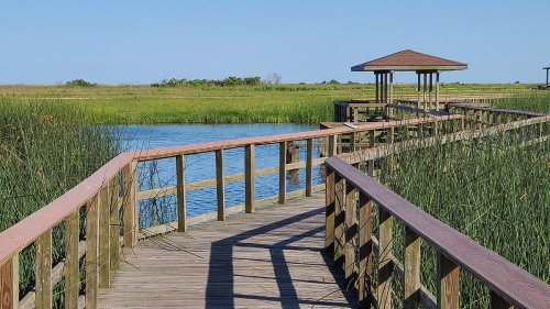 A wooden boardwalk leads to a gazebo over a calm waterway, surrounded by tall green grasses under a clear blue sky.