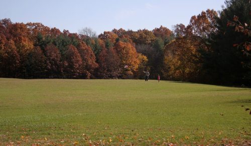 A grassy field with two people walking, surrounded by trees displaying vibrant autumn foliage.