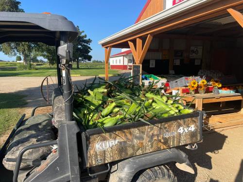 A utility vehicle loaded with fresh corn parked near a farm stand with sunflowers and produce in the background.