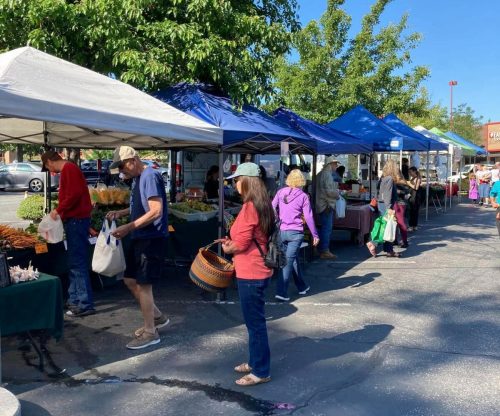 A bustling farmers market with people shopping under blue tents, surrounded by fresh produce and greenery.
