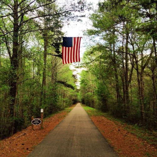 A peaceful forest path lined with trees, featuring an American flag hanging above the trail.