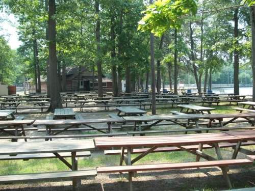 A spacious outdoor area with numerous picnic tables surrounded by trees, near a cabin and a lake.