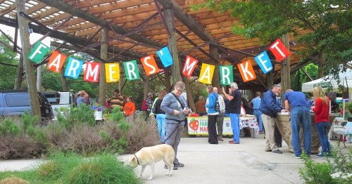 A lively farmers' market scene with colorful banners, vendors, and visitors browsing and enjoying the outdoor space.