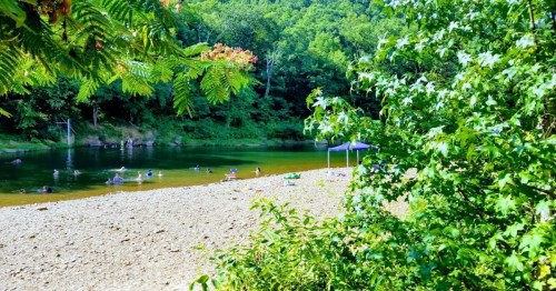 A serene riverbank scene with people swimming, surrounded by lush greenery and a blue umbrella on the shore.