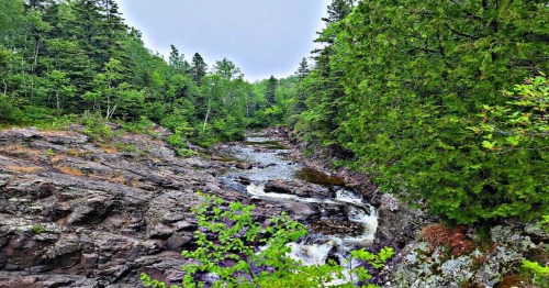 A serene river flows through rocky terrain, surrounded by lush green trees and a cloudy sky.