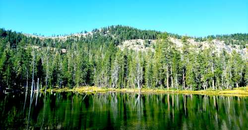 A serene lake surrounded by tall green trees and a rocky hillside under a clear blue sky. Reflections on the water.