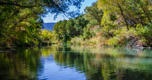 A serene river surrounded by lush greenery and trees, reflecting the blue sky and mountains in the calm water.
