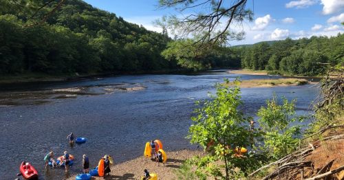 A scenic riverbank with people enjoying water activities, surrounded by lush green trees and a clear blue sky.