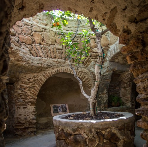 A stone-walled interior with an orange tree in a circular planter and arched openings, creating a rustic atmosphere.