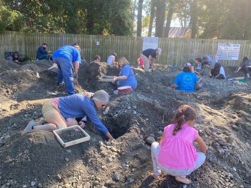 People of all ages are digging in a gravel pit, searching for fossils in a sunny outdoor setting.