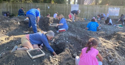 A group of people digging in a fossil site, sifting through dirt and rocks in a sunny outdoor setting.