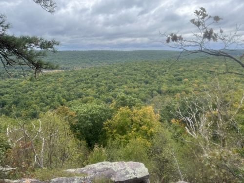 A panoramic view of a lush green forest under a cloudy sky, with rocky outcrops in the foreground.