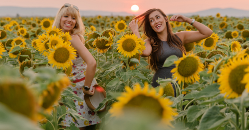 Two women playfully pose in a sunflower field at sunset, surrounded by vibrant yellow flowers.
