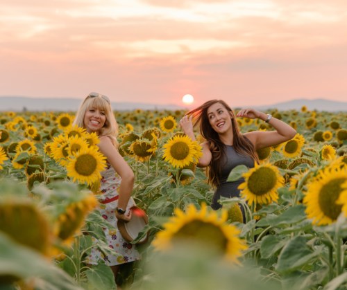 Two women playfully pose among tall sunflowers at sunset, with a vibrant sky in the background.