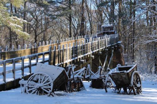A snowy landscape featuring a wooden bridge and old, weathered carts in the foreground, surrounded by trees.