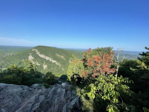 A panoramic view from a rocky outcrop, showcasing lush green hills under a clear blue sky.