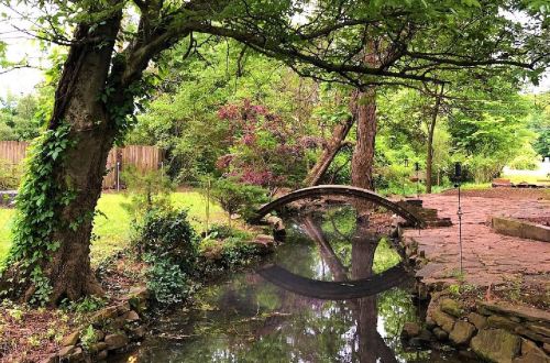A serene garden scene featuring a small wooden bridge over a calm stream, surrounded by lush greenery and trees.