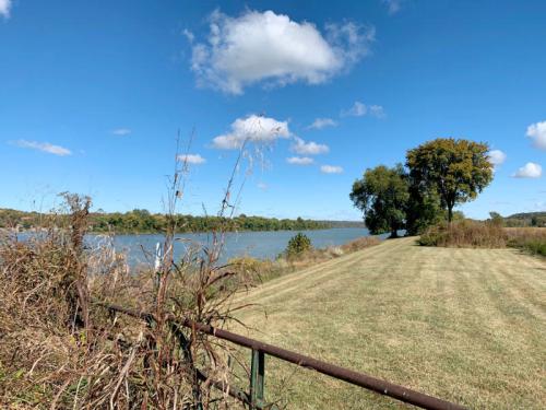 A serene river scene with blue skies, fluffy clouds, and lush greenery along the water's edge.