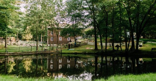 A serene landscape featuring a pond reflecting a rustic building surrounded by trees and green grass.