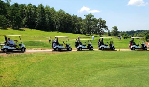 A row of golf carts parked on a sunny day at a golf course, with green grass and trees in the background.
