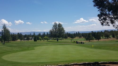 A sunny golf course with a green, trees, and distant mountains under a blue sky with fluffy clouds.