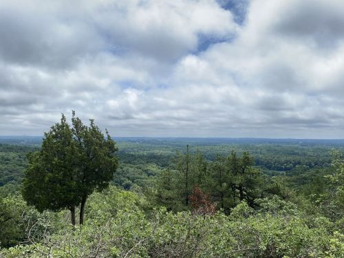 A panoramic view of lush green hills under a cloudy sky, with trees in the foreground.