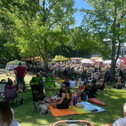 A lively outdoor event with people sitting on the grass, surrounded by trees and tents, enjoying the sunny day.