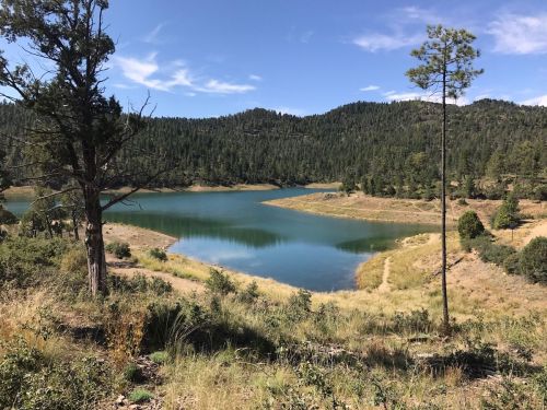 A serene lake surrounded by green hills and trees under a clear blue sky.